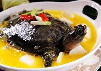 甲魚不能和什么一起吃？甲魚不能跟什么食物一起吃