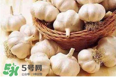 新蒜頭怎么保存不發(fā)芽？新蒜頭怎么存放