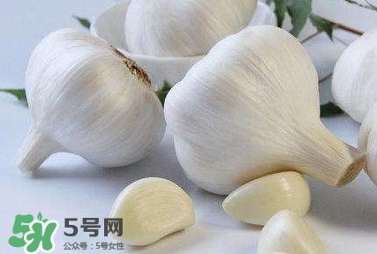 新蒜頭怎么保存不發(fā)芽？新蒜頭怎么存放