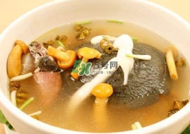 甲魚不能和什么一起吃？甲魚不能跟什么食物一起吃