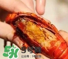 蝦黃孕婦能吃嗎？蝦黃在哪個(gè)位置圖解