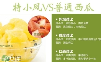 特小鳳西瓜孕婦能吃嗎？特小鳳西瓜孕婦可以吃嗎