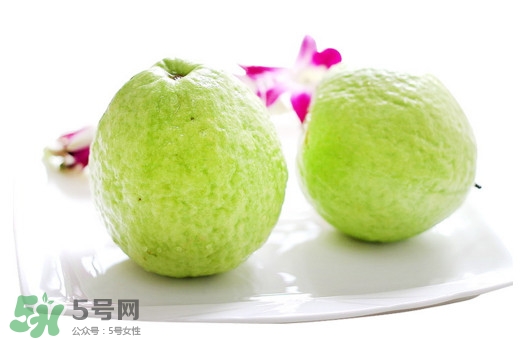 番石榴什么時(shí)候吃最好？番石榴什么季節(jié)吃最好