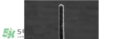 熊野巨匠小熊筆怎么用？熊野巨匠小熊去黑頭筆使用方法