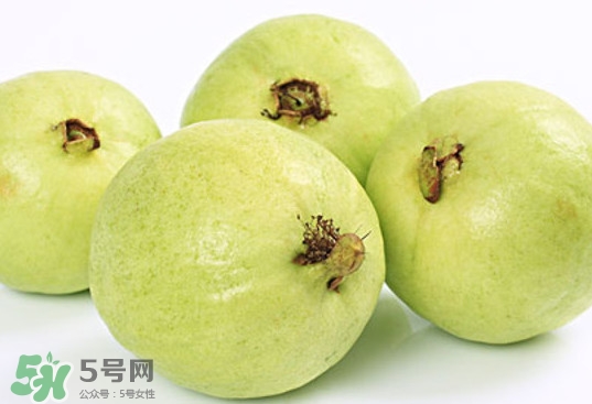 番石榴什么時(shí)候成熟？番石榴什么時(shí)候上市