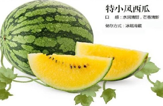 特小鳳西瓜是轉基因嗎？特小鳳西瓜是不是轉基因