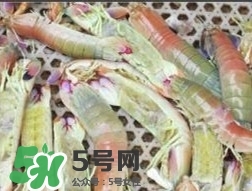 蝦黃孕婦能吃嗎？蝦黃在哪個(gè)位置圖解