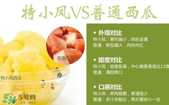 特小鳳西瓜多少錢一斤2017？特小鳳西瓜價格