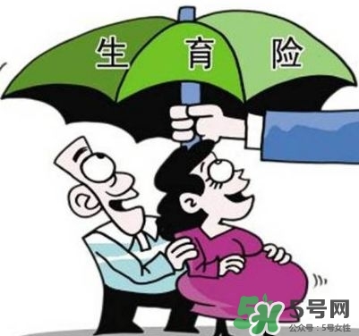 生育保險能報多少錢？生育保險報銷條件、流程