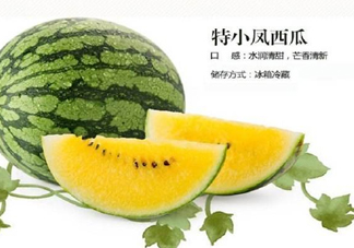 特小鳳西瓜是轉(zhuǎn)基因嗎？特小鳳西瓜是不是轉(zhuǎn)基因