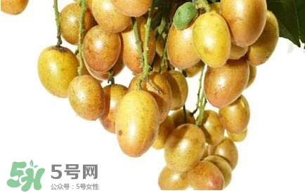 黃皮果什么時(shí)候成熟？黃皮果什么時(shí)候上市
