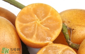 黃皮果怎么保存？黃皮果如何保存
