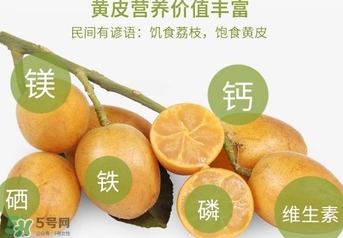 如何種植黃皮果？黃皮果怎么種植？
