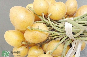 黃皮果多少錢一斤2017？黃皮果價格