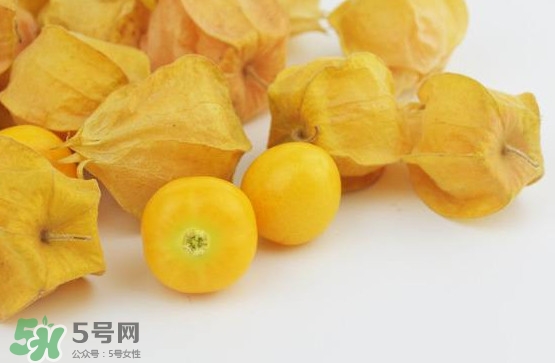 姑娘果是寒性嗎？姑娘果是涼性還是熱性？