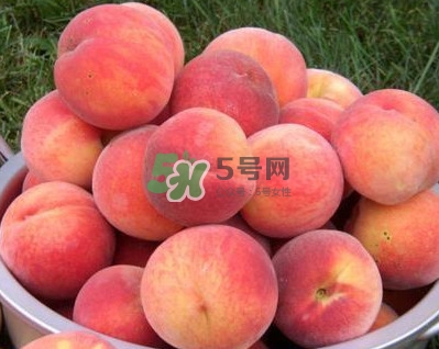紅不軟桃?guī)自路莩墒?？紅不軟桃什么時(shí)候成熟