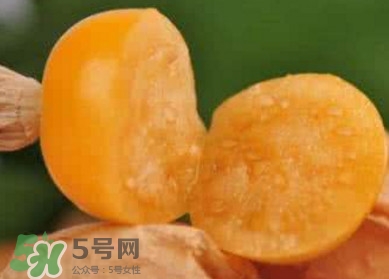 姑娘果是寒性嗎？姑娘果是涼性還是熱性？
