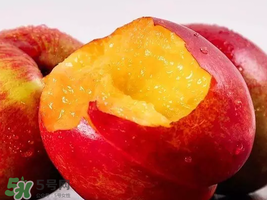 油桃怎么保存不會(huì)變軟？油桃怎么保存時(shí)間長(zhǎng)？