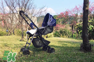 康貝嬰兒車那個(gè)型號(hào)好？康貝嬰兒車型號(hào)介紹