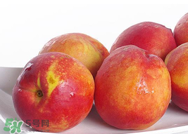 吃油桃會拉肚子嗎？拉肚子可以吃油桃嗎？