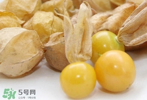 姑娘果什么時(shí)候成熟？姑娘果什么時(shí)候上市