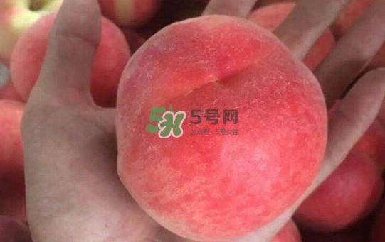 紅不軟桃?guī)自路莩墒?？紅不軟桃什么時(shí)候成熟