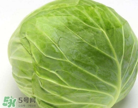圓白菜是什么菜？圓白菜能生吃嗎？