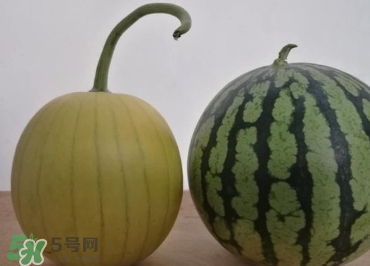 四色瓤西瓜是轉(zhuǎn)基因嗎？四色瓤西瓜是不是轉(zhuǎn)基因？