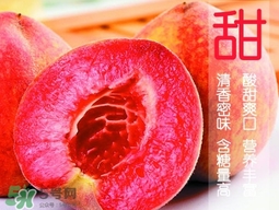 血桃?guī)自鲁墒?？血桃有什么營養(yǎng)價值