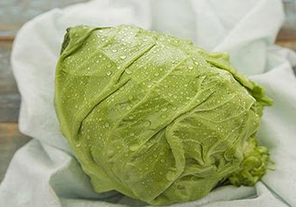 圓白菜是包菜嗎？圓白菜是大頭菜嗎？