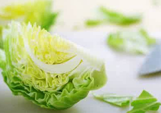 圓白菜怎么做好吃？圓白菜有什么功效