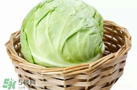 圓白菜是卷心菜嗎？圓白菜是不就是卷心菜