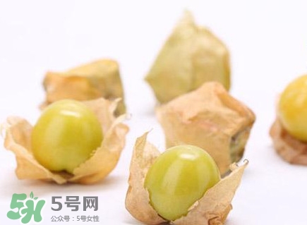 姑娘果什么時(shí)候成熟？姑娘果什么時(shí)候上市