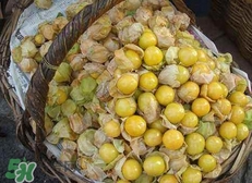 花姑娘水果怎么吃？花姑娘水果吃之前要洗嗎？