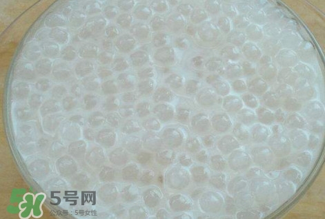 楊枝甘露是比喻什么？楊枝甘露是什么