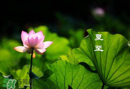 2017年夏至?xí)掠陠幔肯闹料掠暧惺裁凑f(shuō)法？