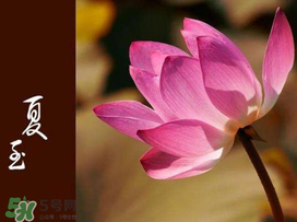 2017年夏至?xí)掠陠?？夏至下雨有什么說(shuō)法？