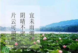 夏至是入伏嗎？夏至后多久入伏？