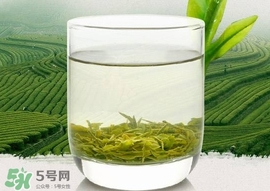如何鑒別信陽毛尖好壞？信陽毛尖品鑒十步法