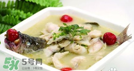 海鱸魚多少錢一斤2017？淡水鱸魚多少錢一斤？