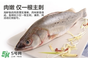 鱸魚是海鮮嗎？鱸魚是不是海鮮？