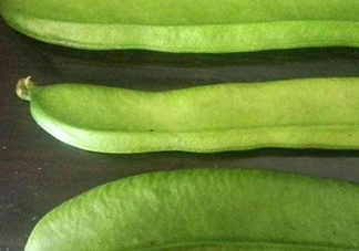 刀豆是四季豆嗎？刀豆和四季豆的區(qū)別