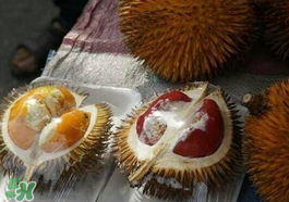 紅心榴蓮多少錢一斤？紅心榴蓮為什么這么貴？