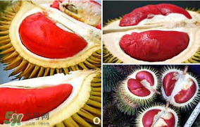 紅心榴蓮叫什么？紅心榴蓮是哪個國家產(chǎn)的？