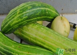 菜瓜到底是不是黃瓜？ 菜瓜和黃瓜的區(qū)別