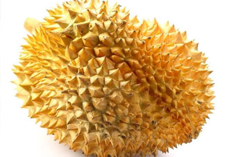 紅心榴蓮是轉基因的嗎？紅心榴蓮是不是轉基因？