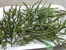 螃蟹腳茶多少錢(qián)一斤2017？螃蟹腳茶的價(jià)格