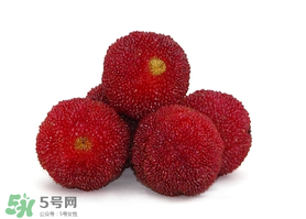 吃完楊梅不能吃什么？吃完楊梅可以吃別的水果嗎？