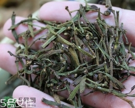 螃蟹腳茶哪些人不能喝？螃蟹腳茶哪些人能喝