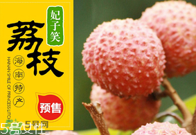 妃子笑荔枝多少錢一斤？2017妃子笑荔枝價格